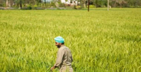 Farmers end Pucca Morcha as Punjab govt enhances Land Pooling Policy benefits