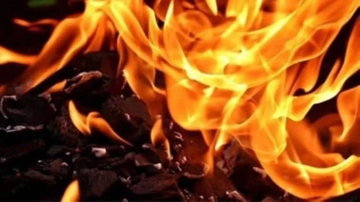 Chandigarh University Fire Destroys Nine Carts on Campus