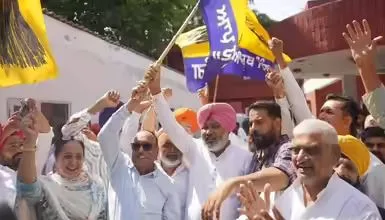 AAP winner in 5 of 7 civic bodies in Mohali