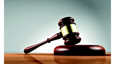 Haryana TGT Teachers Get HC Relief: Revised Selection Result Stayed
